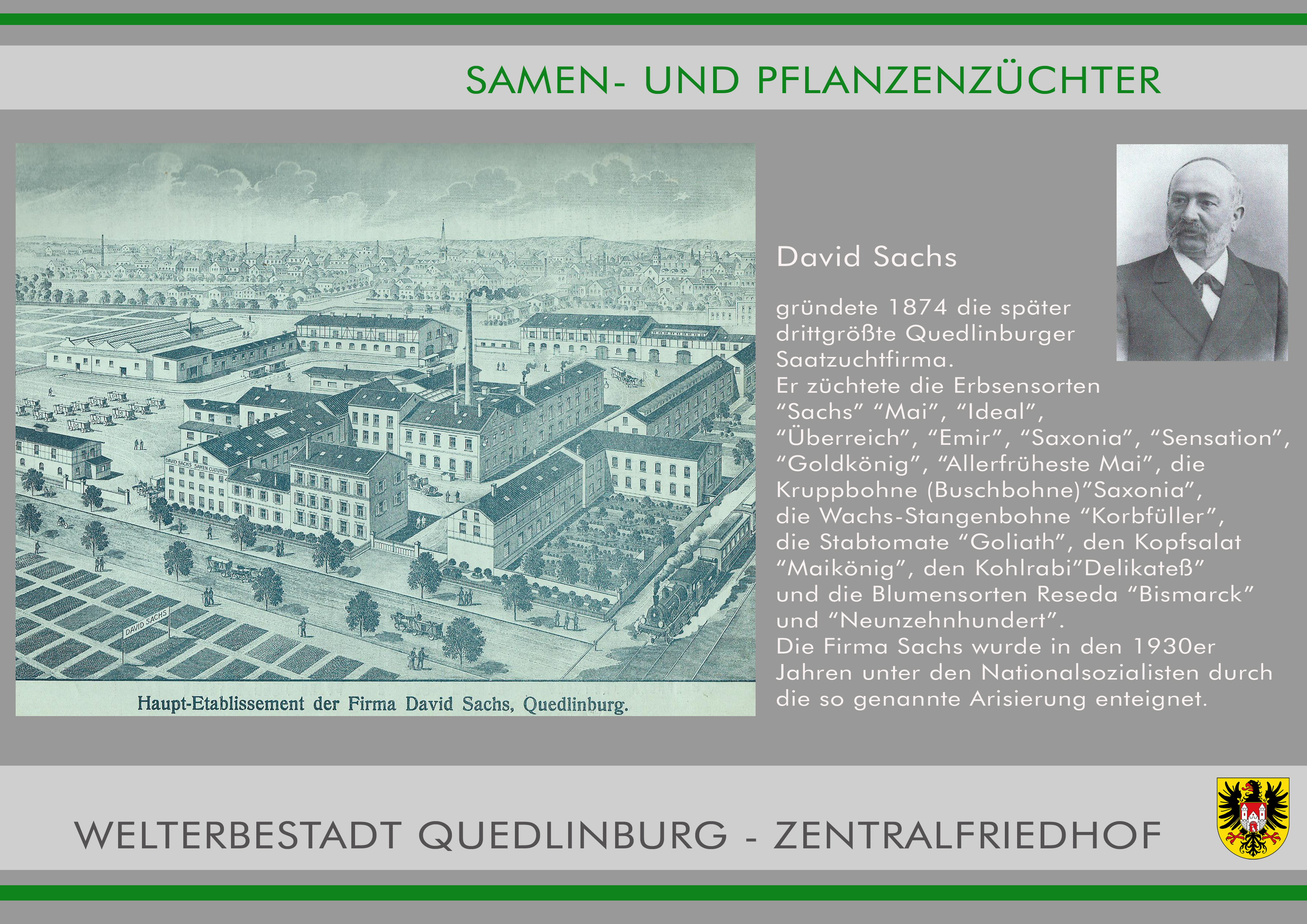 Zentralfriedhof 06 David Sachs