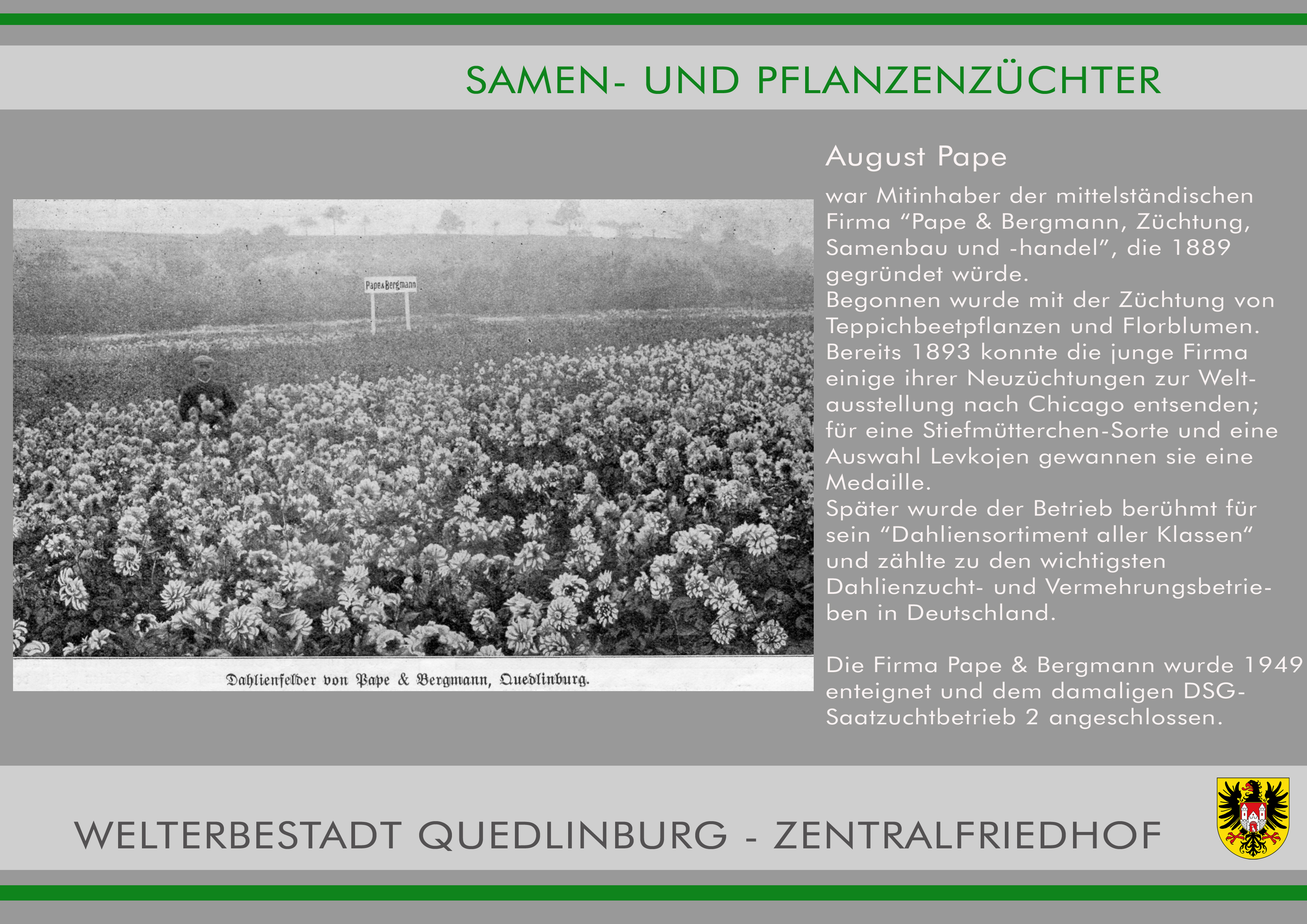 Zentralfriedhof 10  August Pape